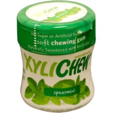 Xylichew Chewing Gum Spearmint 60ct