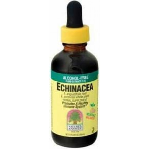 Nature\'s Answer Echinacea Alcohol Free 2 oz