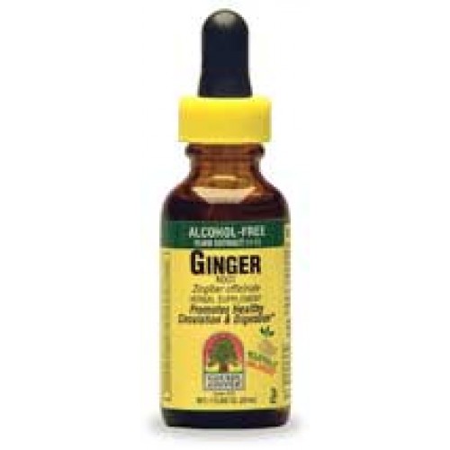 Nature's Answer Ginger Root Alcohol Free 1 oz