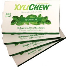 Xylichew Chewing Gum Spearmint 24/12ct